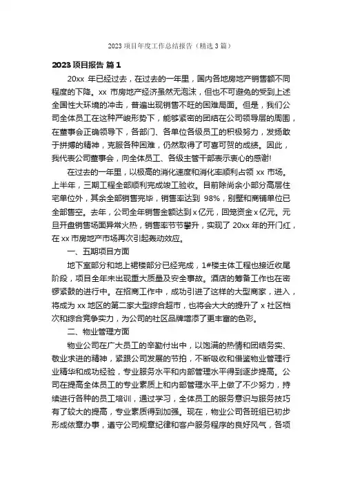 2023项目年度工作总结报告（精选3篇）