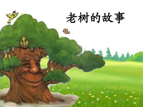 5《老树的故事》PPT课件