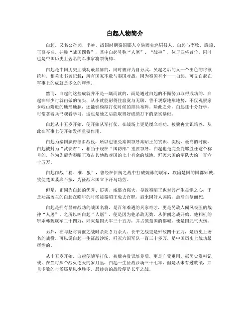 白起人物简介