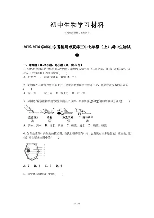 济南版生物七上期中生物试卷【解析版】