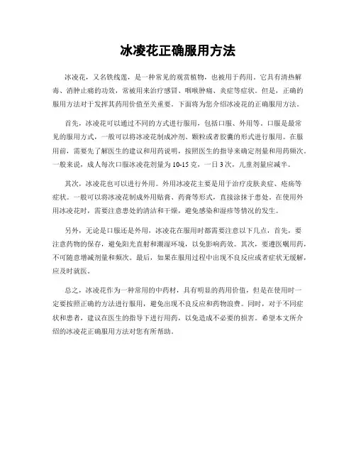 冰凌花正确服用方法 2