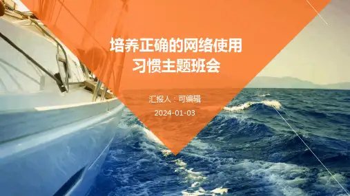 培养正确的网络使用习惯主题班会