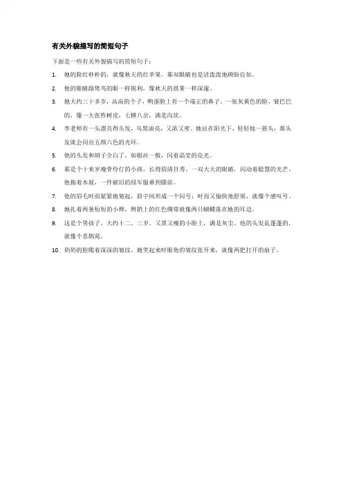 外貌描写的句子简短