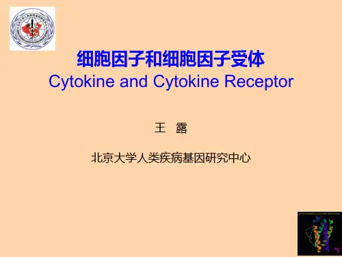 北医免疫课程细胞因子和细胞因子受体