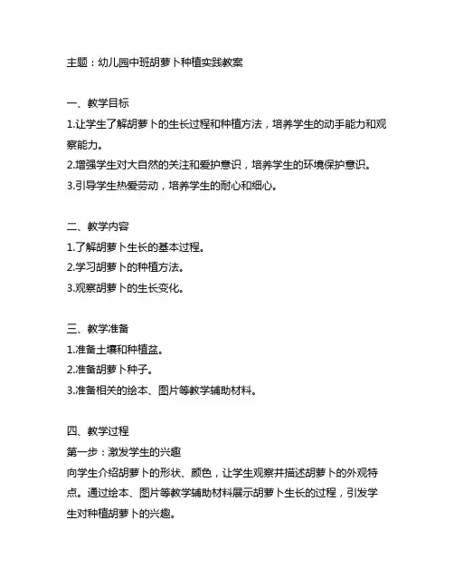幼儿园中班胡萝卜种植实践教案 幼儿园实践