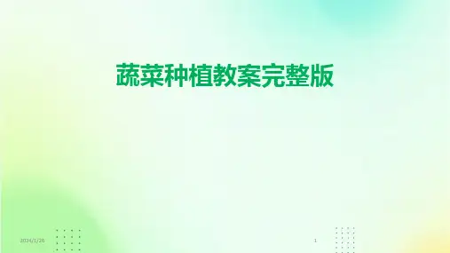 蔬菜种植教案完整版