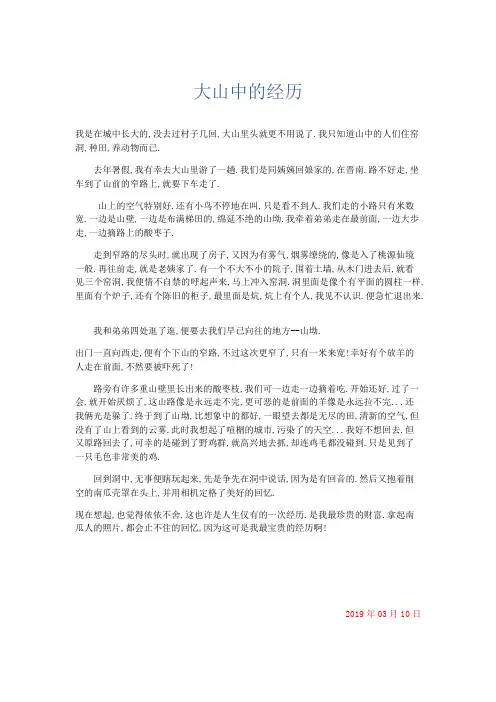 初中记叙文 大山中的经历-精品