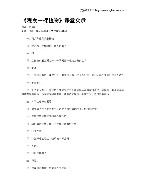 《观察一棵植物》课堂实录