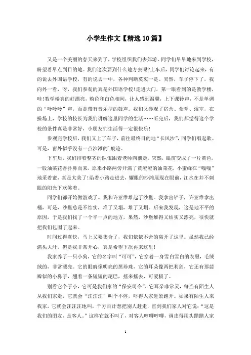 精选小学生作文【10篇】