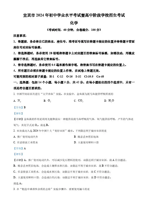 2024年四川省宜宾市中考化学真题(含答案)