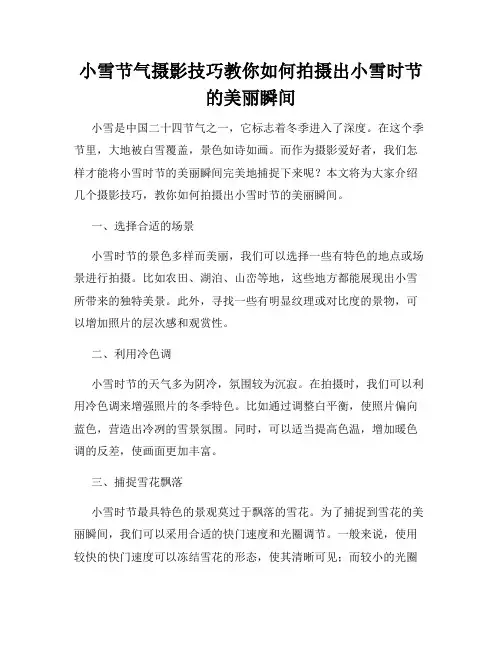 小雪节气摄影技巧教你如何拍摄出小雪时节的美丽瞬间