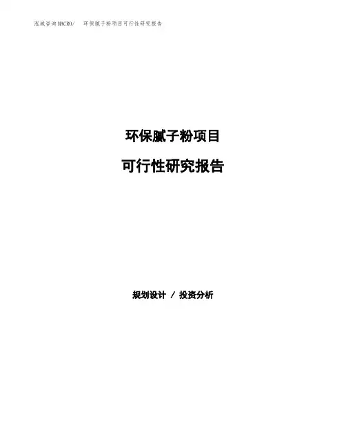 2020年环保腻子粉项目可行性研究报告