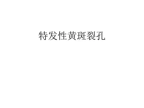 特发性黄斑裂孔