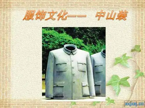 国服-中山装