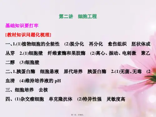 高考生物一轮复习 第二讲 细胞工程课件 新人教版选修3