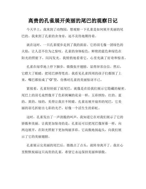 小学三年级作文高贵的孔雀展开美丽的尾巴的观察日记
