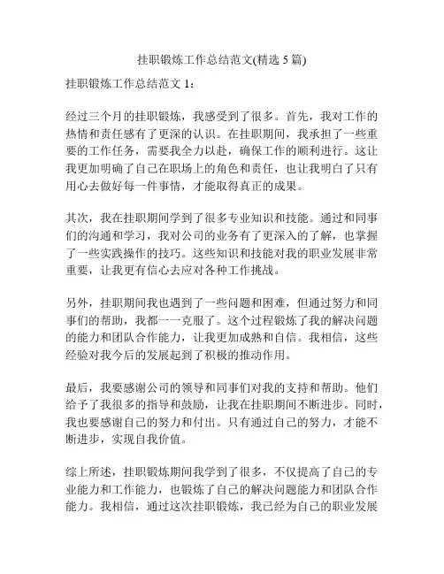 挂职锻炼工作总结范文(精选5篇)