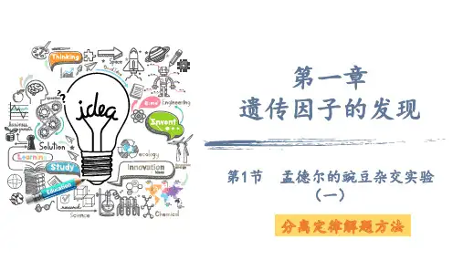 1.1 分离定律的解题方法课件2021-2022学年高一下学期生物人教版必修2