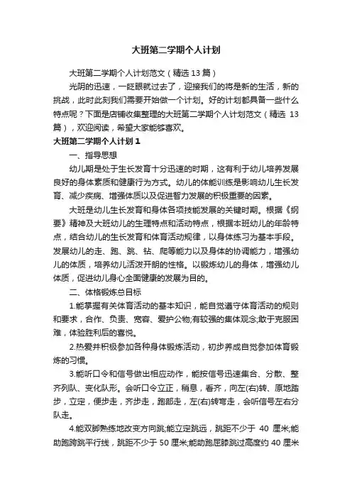 大班第二学期个人计划