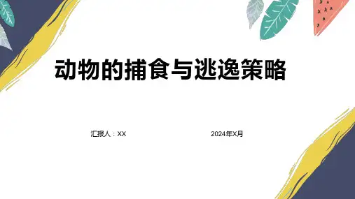 动物的捕食与逃逸策略