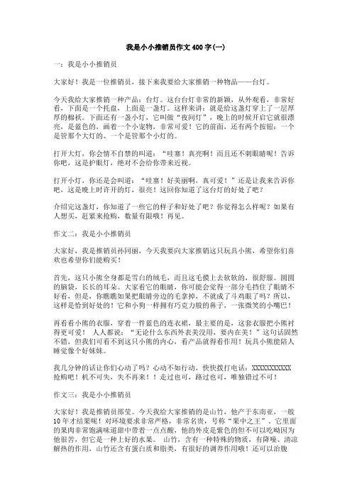 我是小小推销员作文400字