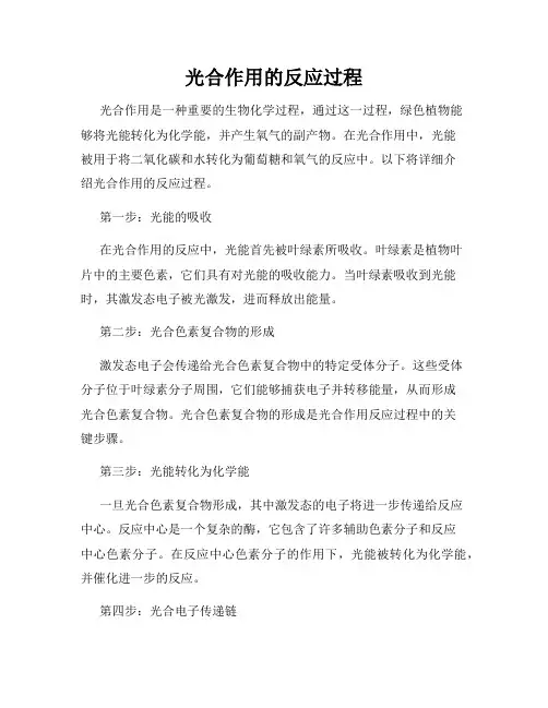 光合作用的反应过程