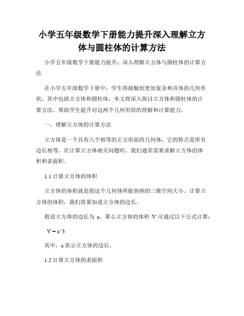 小学五年级数学下册能力提升深入理解立方体与圆柱体的计算方法