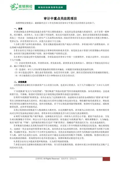 审计中重点关注的项目