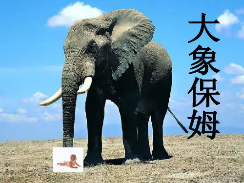 三年级语文下册 第2单元 8《大象保姆》课件7 小学三年级下册语文课件