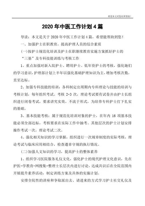 2020年中医工作计划4篇