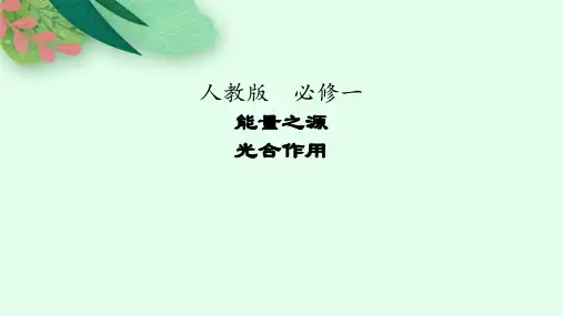 高中生物人教版课件：光合作用