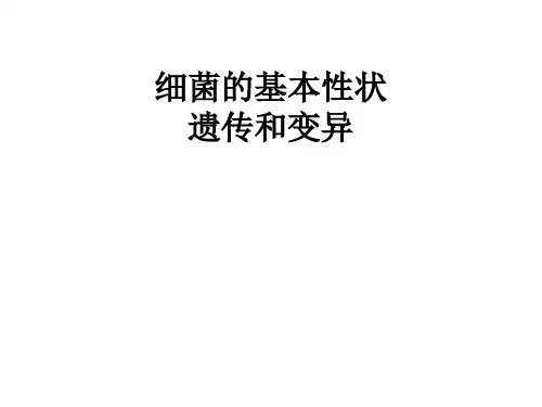 《医学微生物学》课件：2 细菌的基本性状、遗传变异