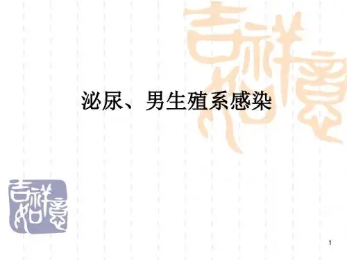 外科泌尿系感染ppt课件