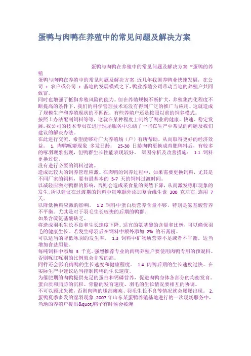 蛋鸭与肉鸭在养殖中的常见问题及解决方案