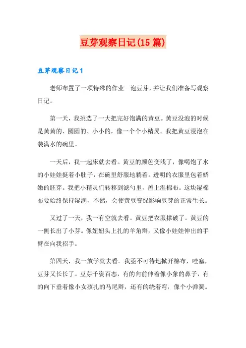 豆芽观察日记(15篇)