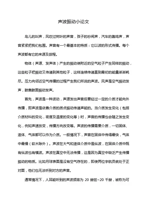 声波振动小论文