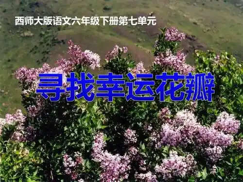 寻找幸运花瓣-PPT优秀课件