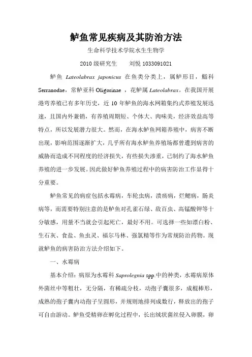 鲈鱼常见疾病及其防治方法