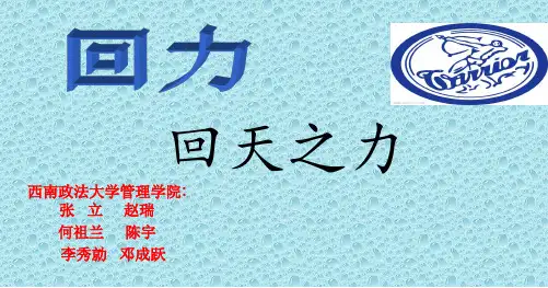 案例分析控制过程(回力)-精选文档