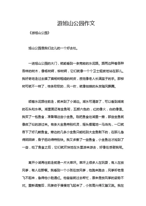 游旭山公园作文