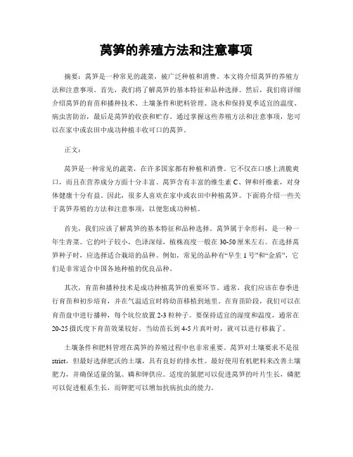 莴笋的养殖方法和注意事项