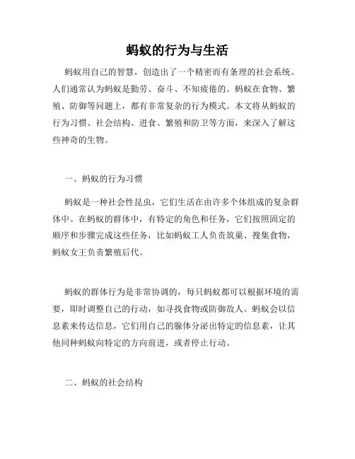 蚂蚁的行为与生活