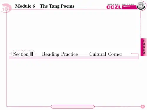 高二英语选修8(外研版)课件：6-3Reading Practice——Cultural Corner