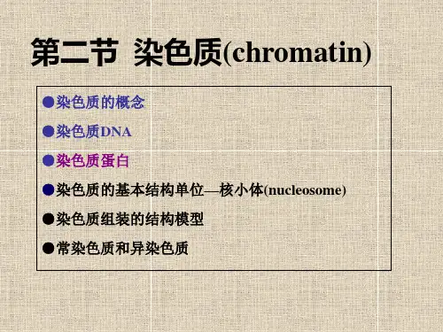 第10章-3 染色质的组蛋白