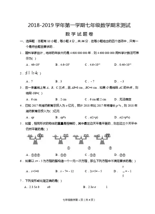 2018-2019学年第一学期七年级期末数学试题卷