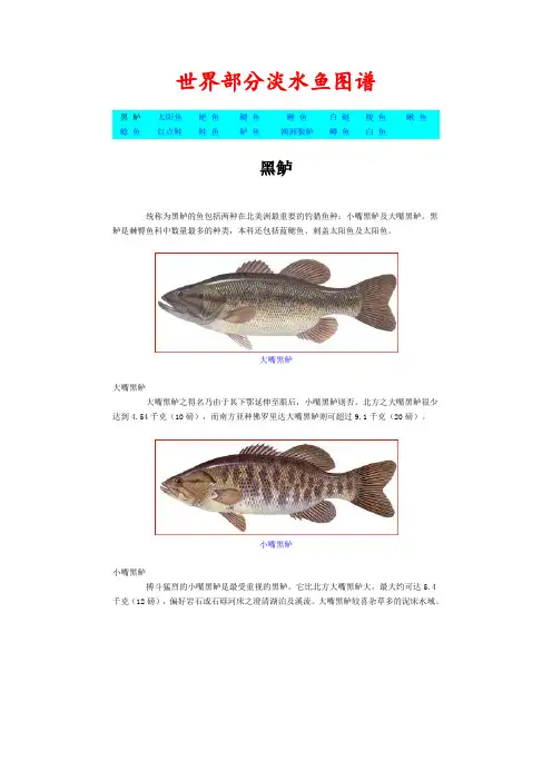 世界部分淡水鱼图谱