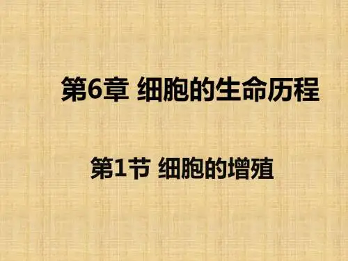 人教版高一生物 必修一 分子与细胞第6章第1节细胞的增殖(48张)