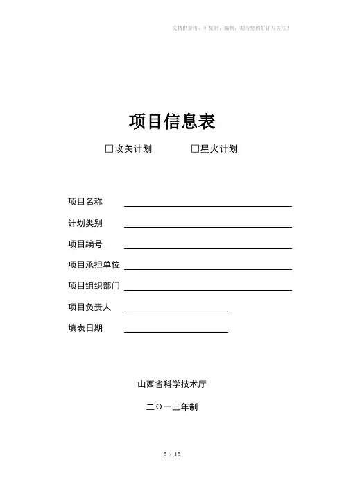 《项目信息表》word版