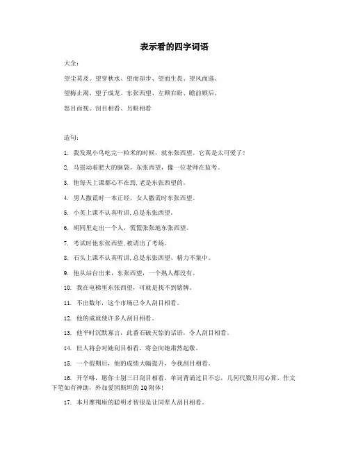 表示看的四字词语
