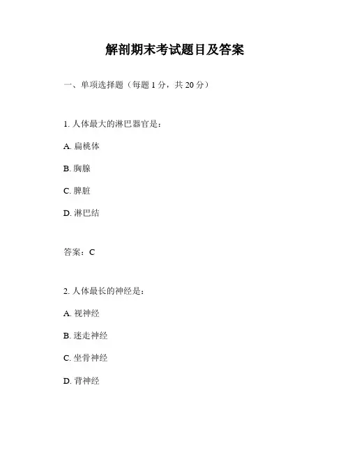 解剖期末考试题目及答案
